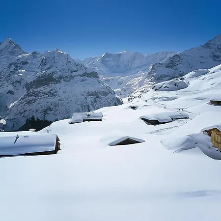 Luxuswohnung Swiss Alp By Interhome Ferienhaus Grindelwald